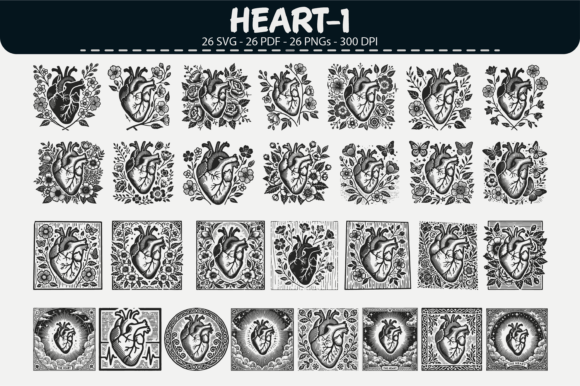 Anatomic Heart Vector Set: Graphics & Illustrations Review