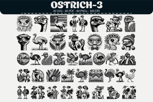 Quirky Ostrich Clipart – 40 Designs: Graphics & Illustrations