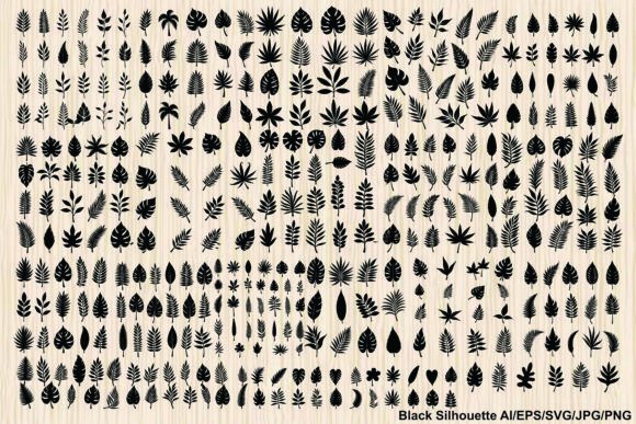 Tropical Plants Black Silhouette Graphics & Illustrations